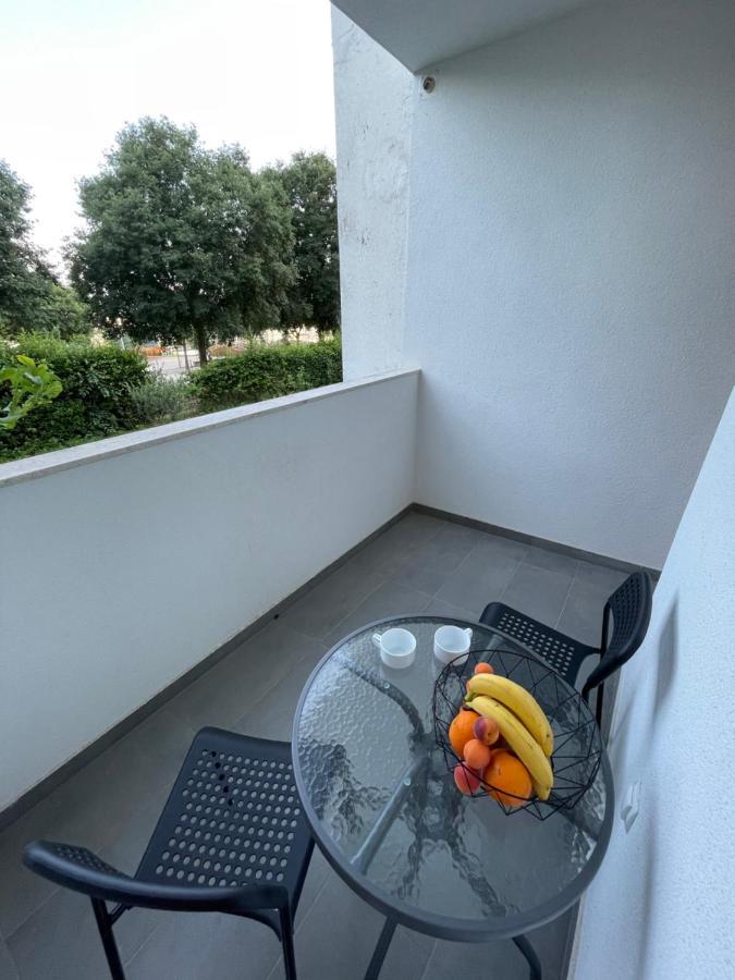 Apartment Owl